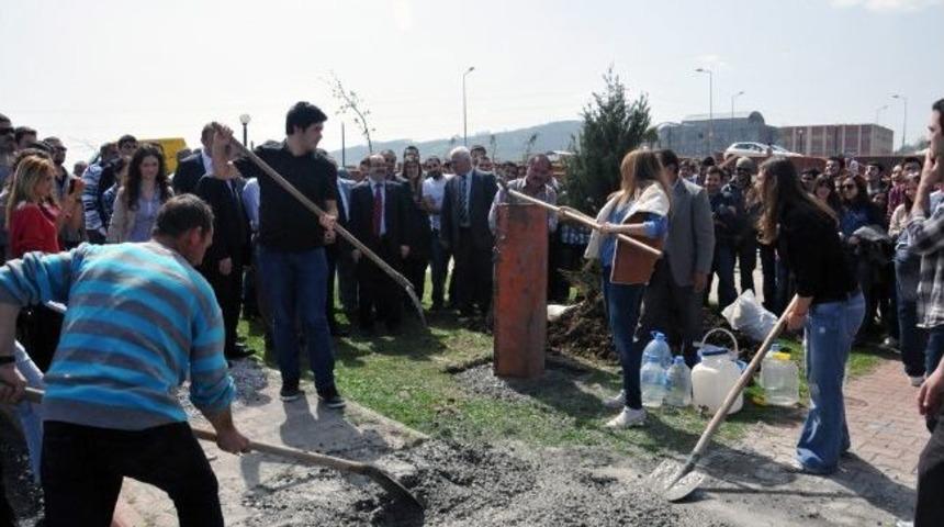 Om&uuml;&rsquo;de 1. Pilye G&uuml;nleri