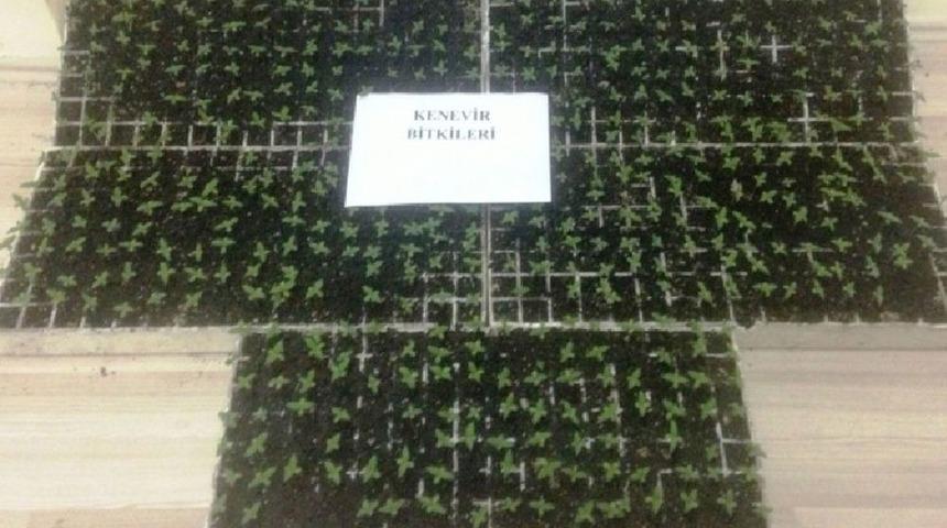 Üç Ilde Eş Zamanlı Uyuşturucu Operasyonu: 6 Gözaltı