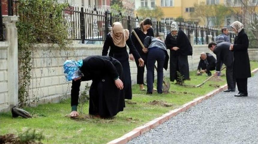 Talas'ta Ağa&ccedil; Seferberliği