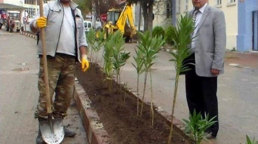 Balya Belediyesi İl&ccedil;eyi Yeşillendiriyor