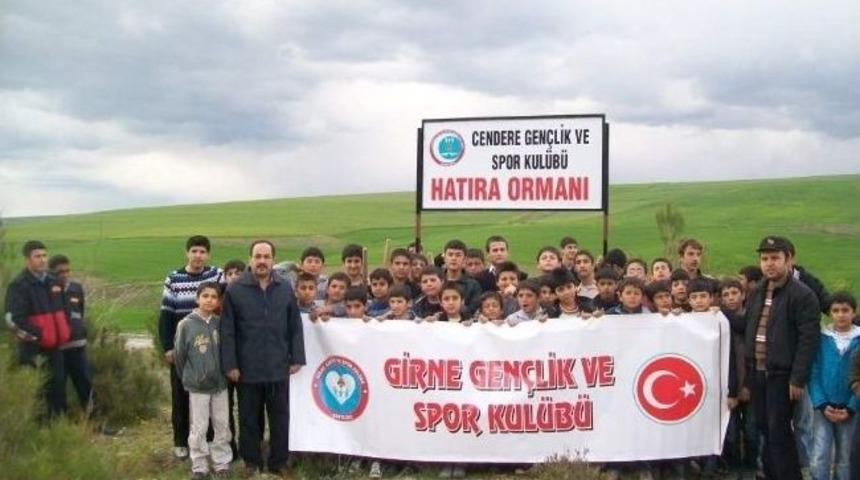 Kahta İzcileri Fidan Dikti