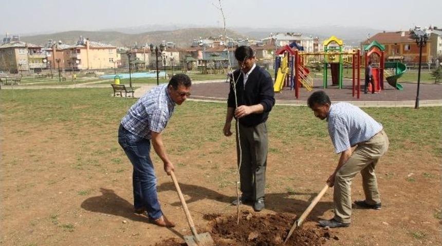 Bing&ouml;l Belediyesi Kent Merkezini Renklendirdi