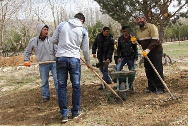 Yeni Şehir Parkında Hummalı Çalışma