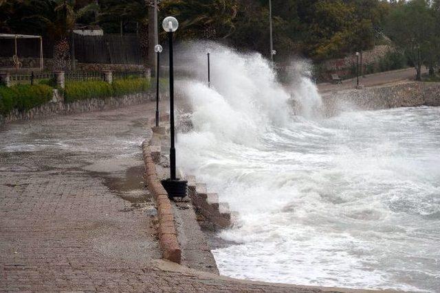 Fırtına Önüne Geleni Sürükledi