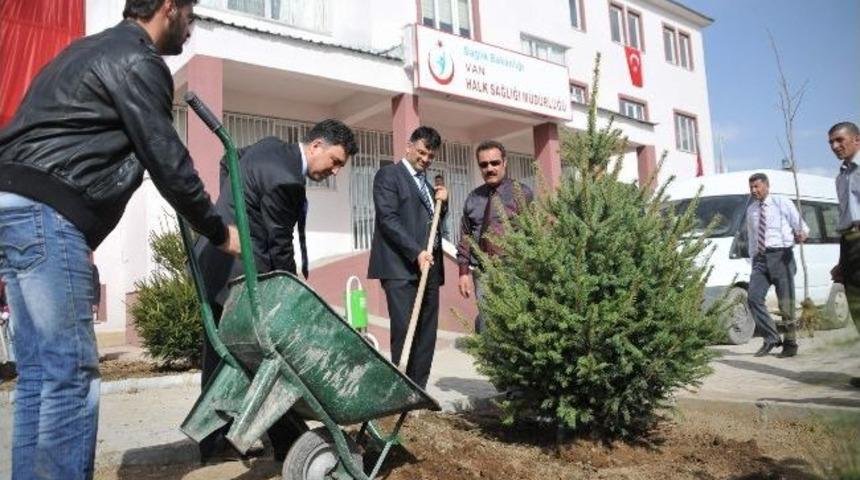 Van&rsquo;da Fidan Dikimi