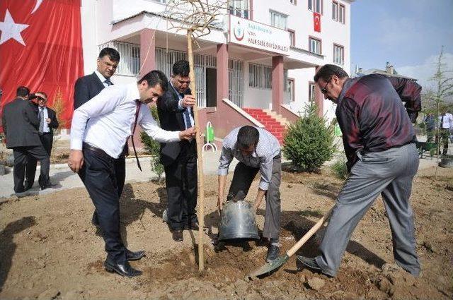 Van’da Fidan Dikimi