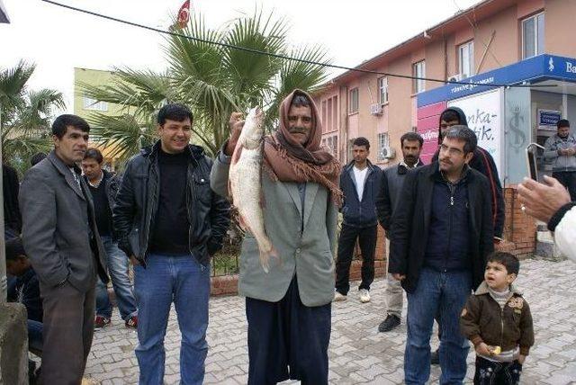 Havalar Isındı Balıkçılar Zorda