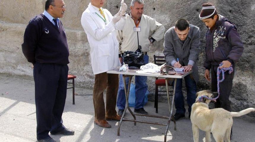 Kuduz Ve Larva M&uuml;cadelesi Başlıyor