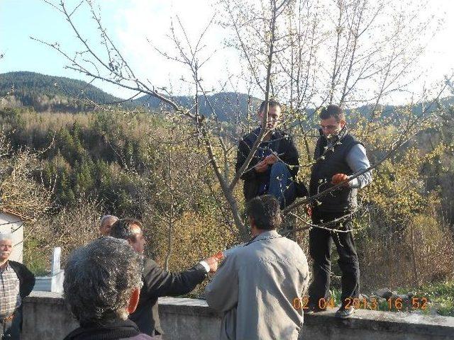 Ersizlerdere'de Çiftçilere Uygulamalı Ağaç Budama Eğitimi Verildi