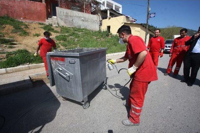 Bayraklı'da Bahar Temizliği