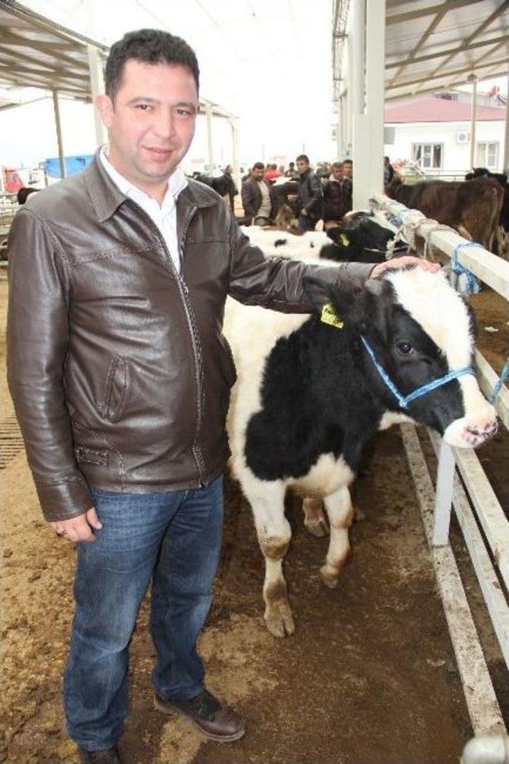 Nazilli Hayvan Pazarı İlgi Görüyor G1