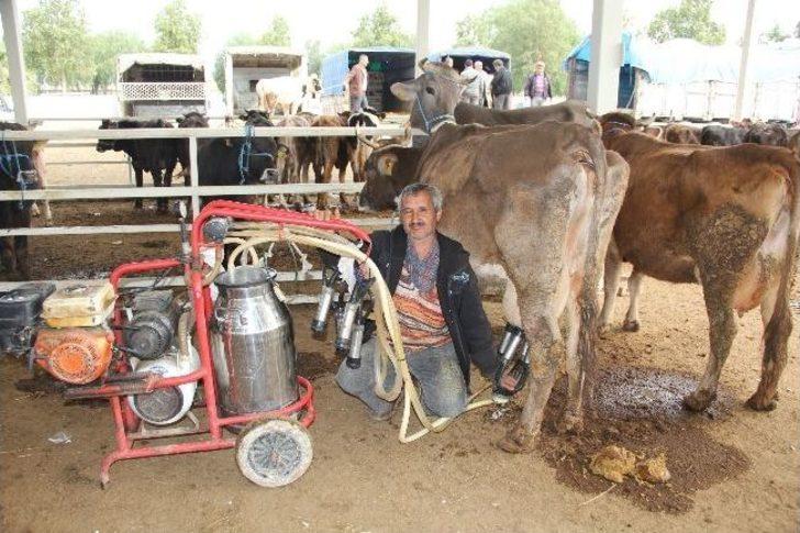 Nazilli Hayvan Pazarı İlgi Görüyor G4