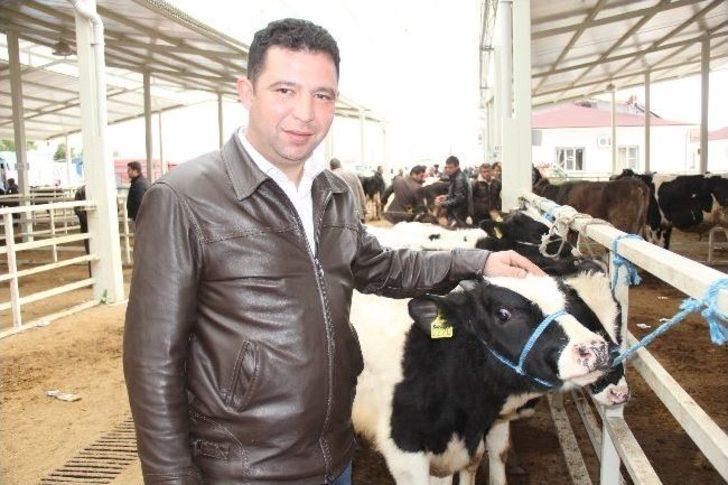 Nazilli Hayvan Pazarı İlgi Görüyor G5