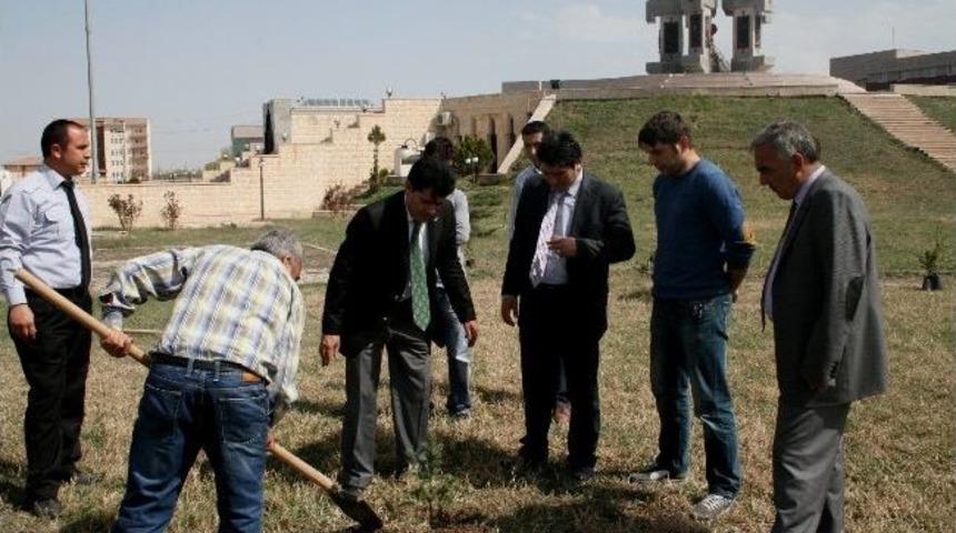 Iğdır Kılı&ccedil;lar Anıt M&uuml;zesi &Ccedil;evresinde Fidan Dikimi