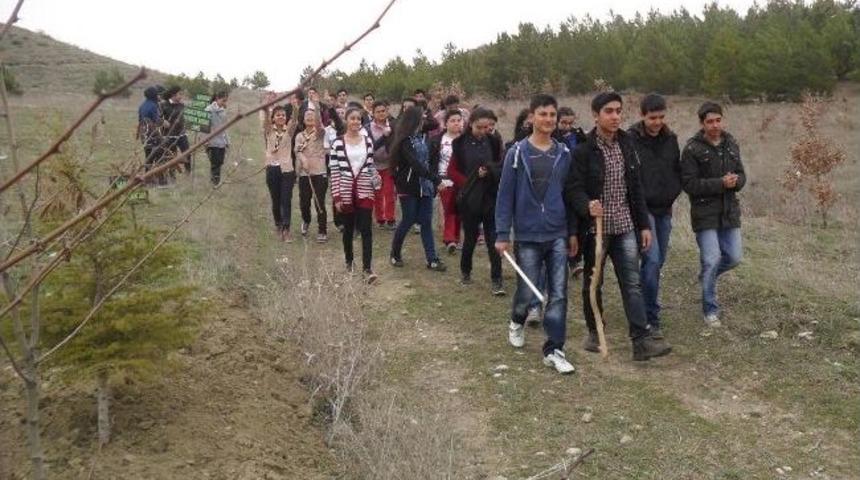 Sungurlu'da İzciler Fidan Dikti