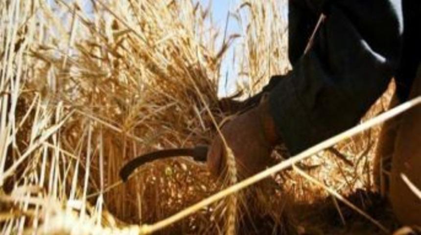 Çiftçilere Yüzde 50 Oranında Destek Sağlanacak