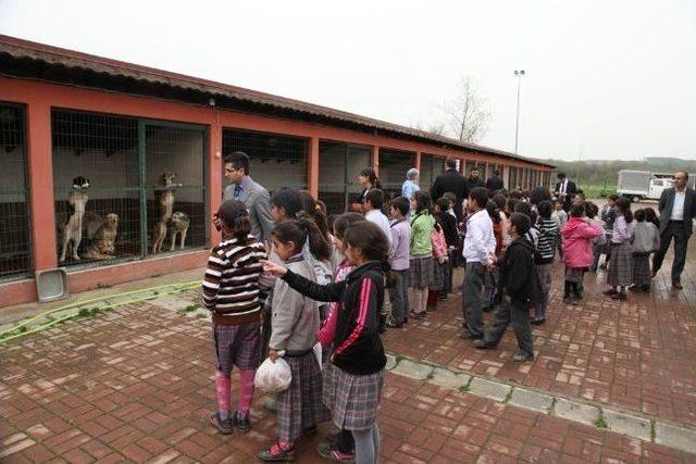 İlkokul Öğrencileri Büyükşehir'in Hizmetlerini Gezdi