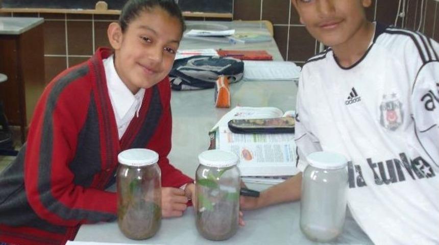 &lsquo;sineğin Pasifliği&rsquo; Projesi Malatya B&ouml;lge Sergisinde