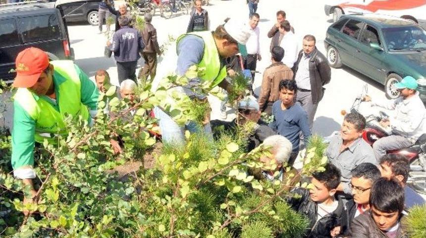 Akdeniz Belediyesi Binlerce &Ccedil;i&ccedil;ek Ve Fidan Dağıttı