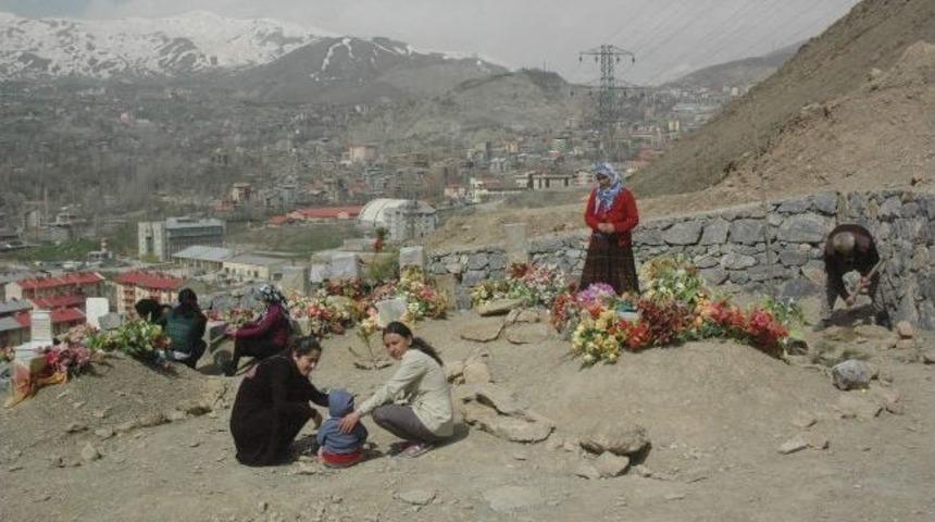 Bdp&rsquo;liler Mezarlık &Ccedil;evresine Fidan Dikti