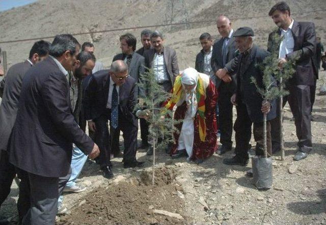 Bdp’liler Mezarlık Çevresine Fidan Dikti