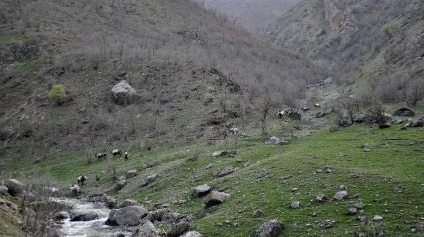 Haber Alınmayan Ka&ccedil;ak&ccedil;ılar K&ouml;ylerine D&uuml;nd&uuml;