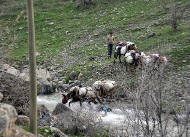 Haber Alınmayan Kaçakçılar Köylerine Dündü