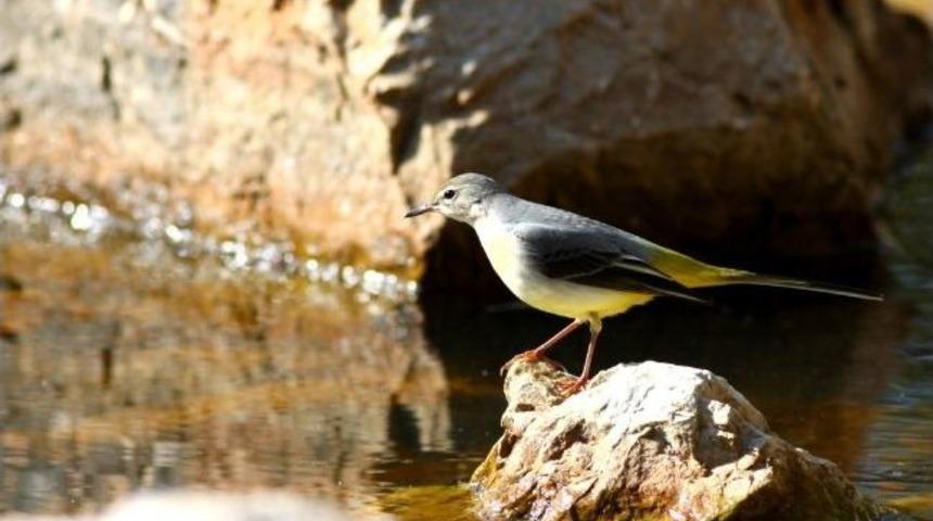 Denizli&rsquo;de Doğa Belgeseli &Ccedil;ekildi