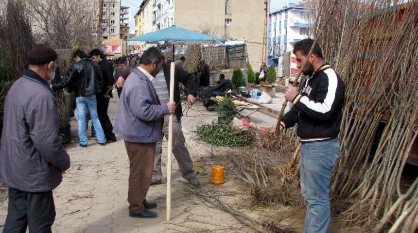 Sorgun&rsquo;da Fidan Satışları Başladı