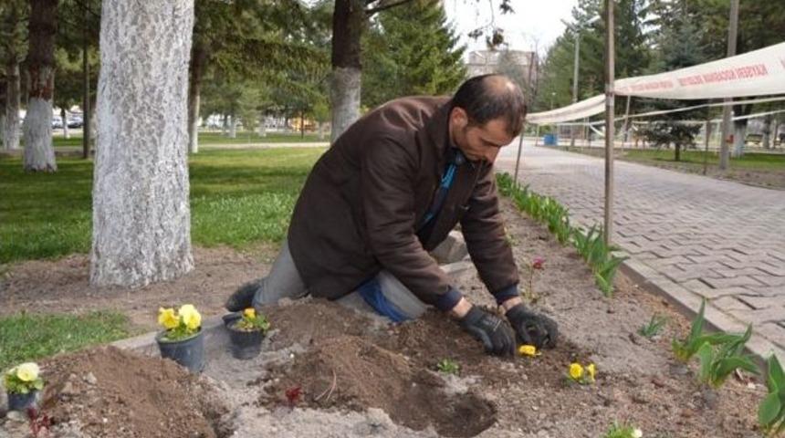 Kocasinan &Ccedil;i&ccedil;eklendi