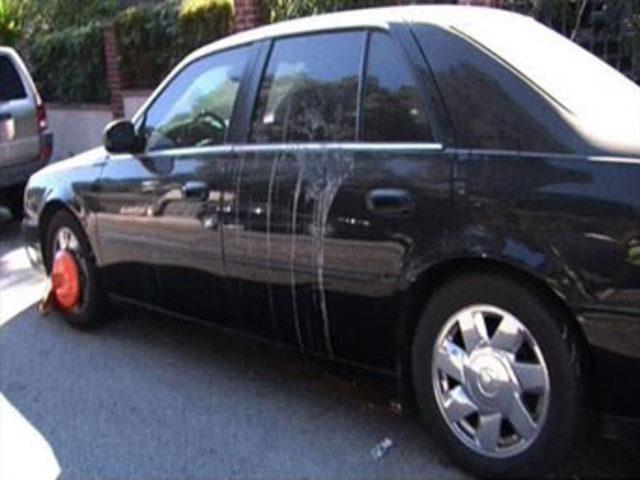 Yumurta fırlatılan &uuml;nl&uuml;ler 6