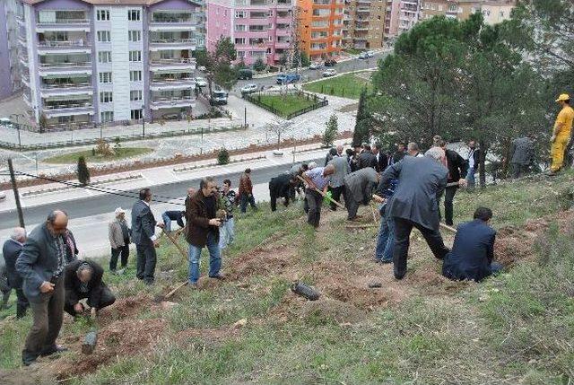 İl Genel Meclisi'nden Hatıra Ormanı