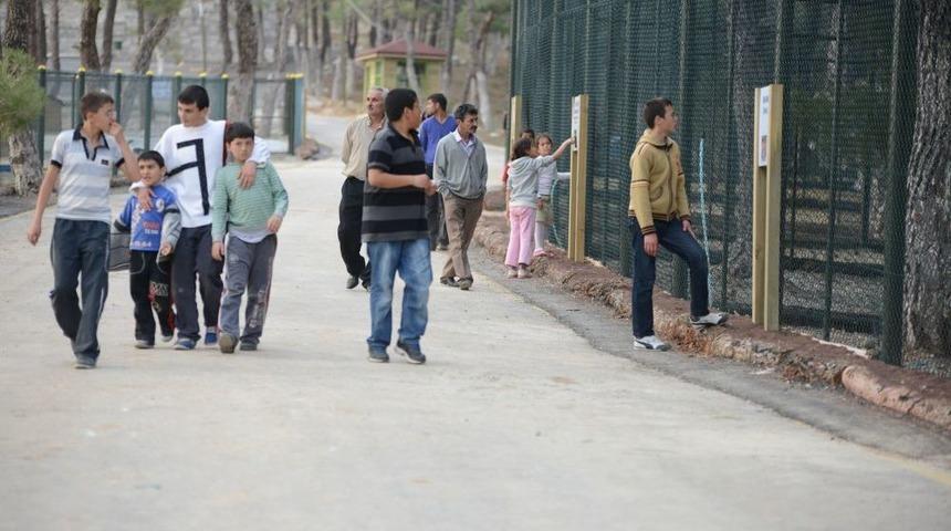 Yeni A&ccedil;ılan Uşak Hayvanat Bah&ccedil;esi Yoğun Ilgi G&ouml;r&uuml;yor