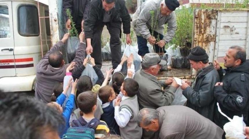 Pazarlar&rsquo;da 2 Bin Adet Badem Fidan Dağıtıldı