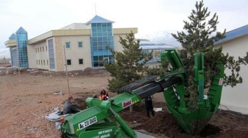 Erzurum&rsquo;un Yeni Terminal Binası Ağa&ccedil;landırılıyor