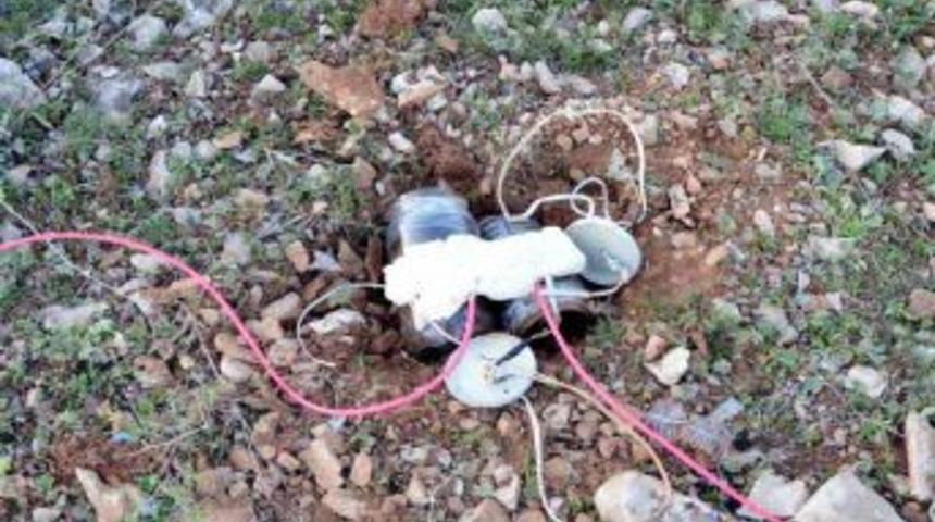 Mayın tuzağını jandarma bozdu