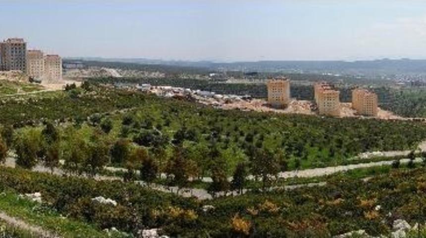 Buca&rsquo;ya Cennetten Bir K&ouml;şe