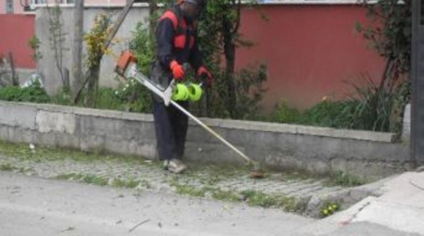 İzmit&rsquo;te Yaz Temizliği