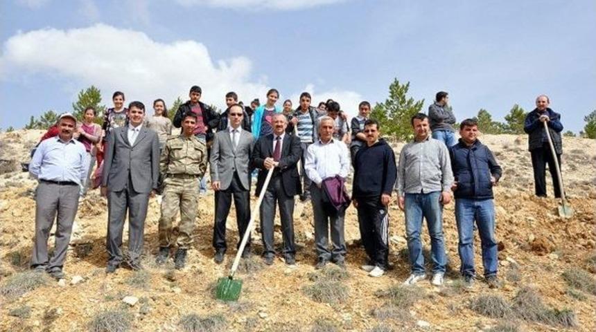 G&uuml;r&uuml;n&rsquo;de Ağa&ccedil; Dikimi Seferberliği Başladı