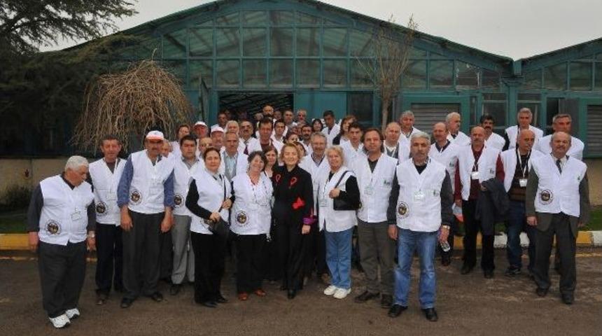 ‘bahçıvanlık Kursu’na Büyük İlgi