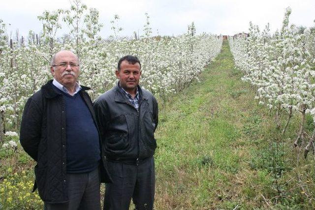 Çaycuma’da Bir Esnaf Tarafından Punomatik Adı Verilen Bahçedeki Fidanları Budama Makinesi Yapıldı