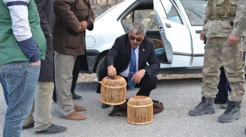 Ka&ccedil;ak Avlanan G&ouml;&ccedil;erlere Sıkı Denetim