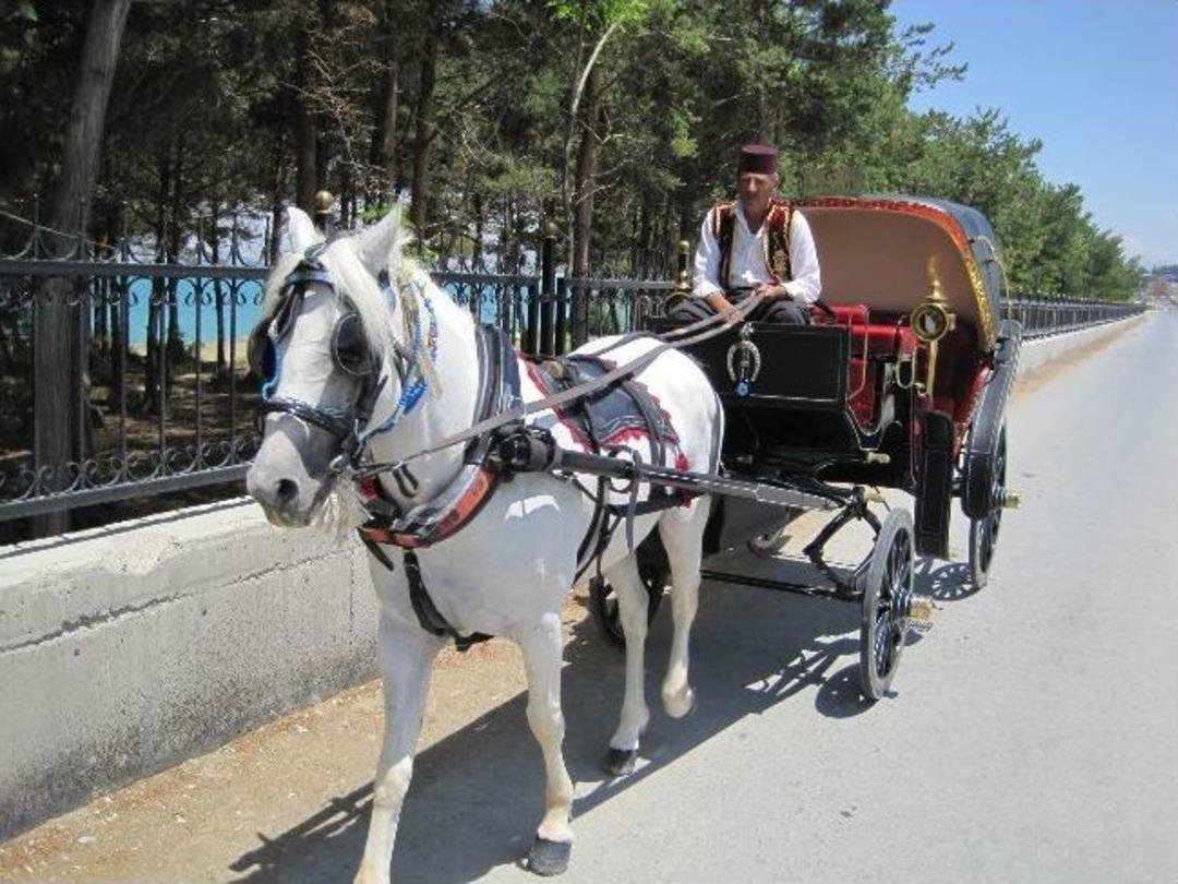 Van&rsquo;da Beş Yıldızlı Nikah T&ouml;renleri