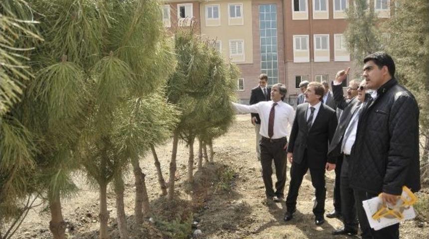 Yalnızbağ Yerleşkesi&rsquo;nde Ağa&ccedil;landırma &Ccedil;alışması