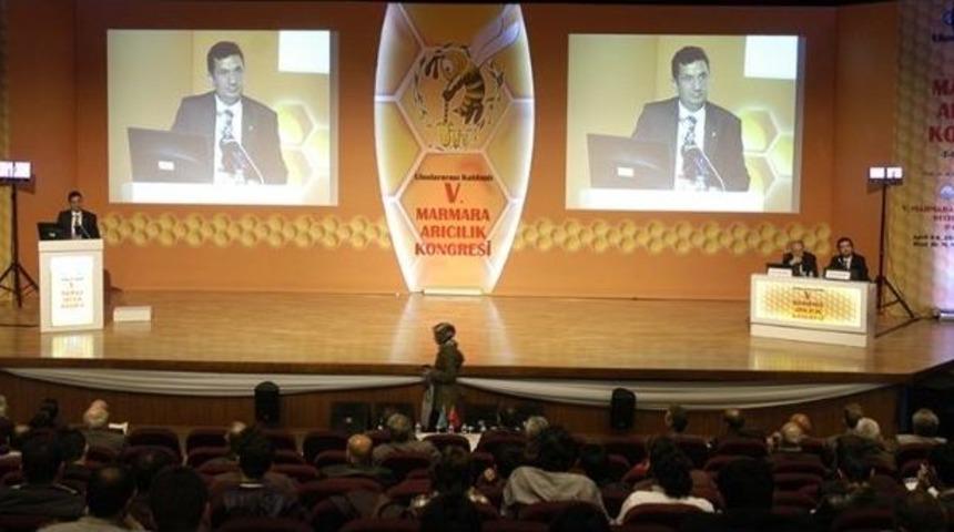T&uuml;rkiye D&uuml;nyanın En B&uuml;y&uuml;k Arıcılık &Uuml;lkesi