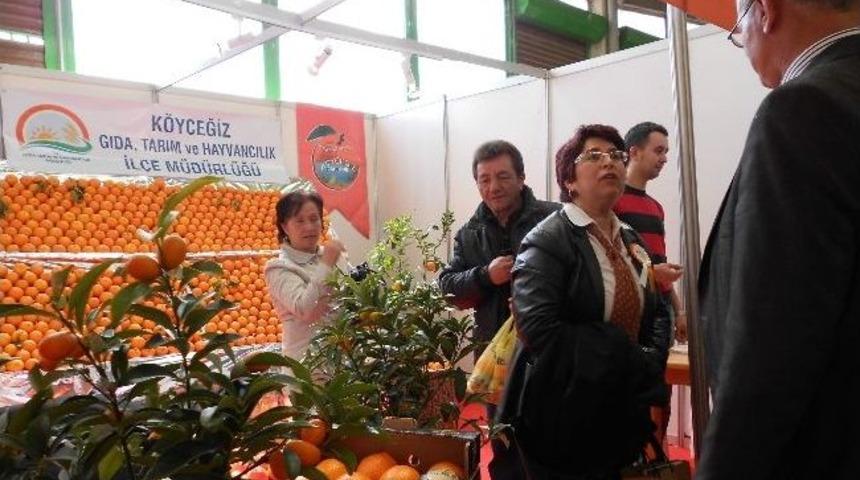 K&ouml;yceğiz Portakalı Eskişehir&rsquo;de Tanıtılıdı