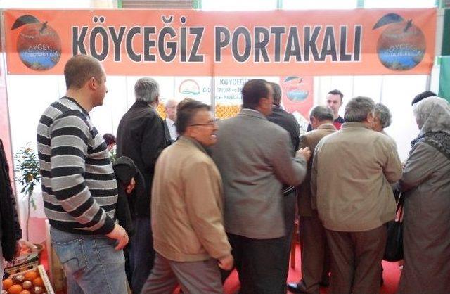 Köyceğiz Portakalı Eskişehir’de Tanıtılıdı