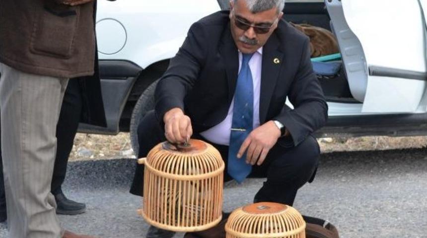 Canlı Keklik Satanlara 10 Bin Lira Para Cezası Kesildi