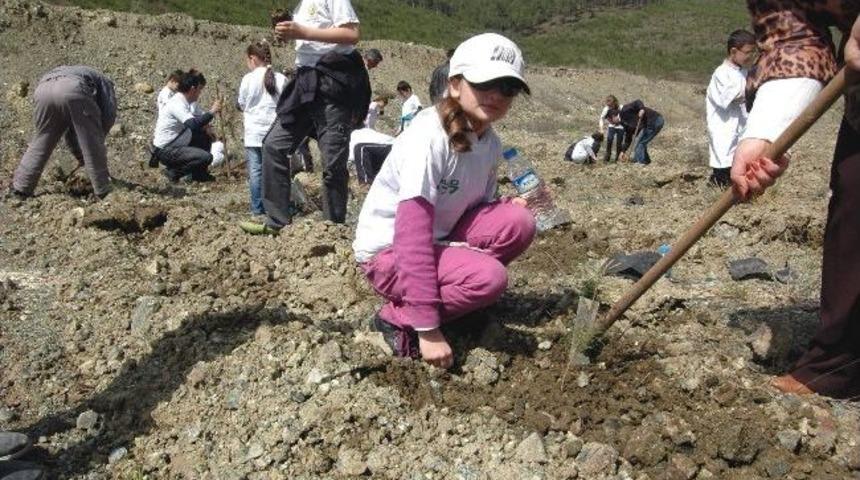 Miniklerden Ormana 700 Fidan