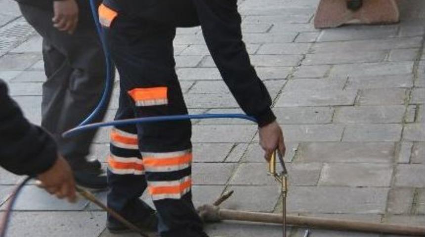 Bodrum&rsquo;da Mazgal Ve R&ouml;garlar İla&ccedil;lanıyor